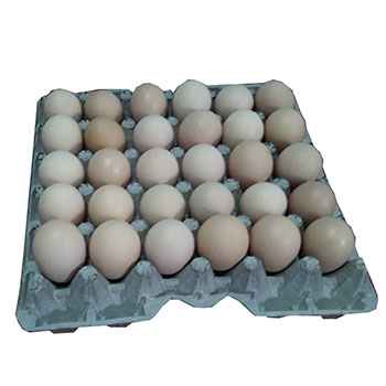 Huevo fresco marrón - 30 unidades