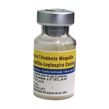 Vacuna trivalente Moquillo-Hepatitis-Leptospira canina