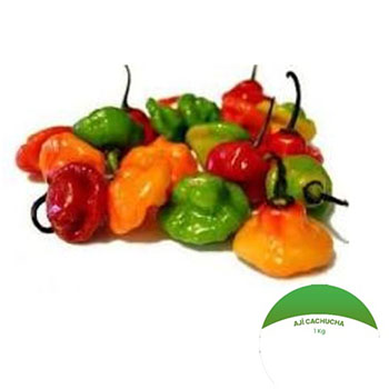 Ají Cachucha, 1kg